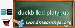 WordMeaning blackboard for duckbilled platypus